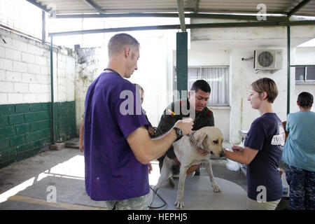 150717-A-OM702-079 BUENAVENTURA, Colombia (17 luglio 2015) esercito il Mag. Geremia Nelson, a sinistra un nativo di Martin, S.D., e veterinario assegnato al Post 81st gli affari civili battaglione di Fort Hood in Texas, e un volontario con le organizzazioni non governative (ONG) Mondo veterinari, esaminare un cane in un sito veterinario istituito presso Eufermeria Canina del Grupo Antiexplosnos Urbano a sostegno di continuare promessa 2015 (CP-15). Mondo di veterinari volontari stanno lavorando a fianco di altre ONG e militari durante il CP-15. Continuando la promessa è un U.S. Comando sud-sponsorizzato e U.S. Forze Navali Comm meridionale Foto Stock