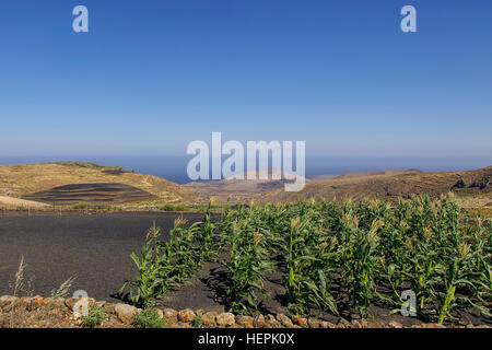 Vista dell'Oceano Atlantico e orizzonte pur avendo uno sguardo su un bellissimo paesaggio vicino a Teguise, Lanzarote, Spagna. Foto Stock