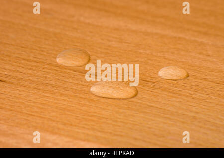 Perle di acqua su legno di faggio finito. Foto Stock