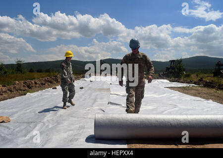 Sgt. 1. Classe Barry Cannon, ingegnere 168a brigata, Mississippi esercito Guardia Nazionale si diffonde materiale geotessile come parte dei miglioramenti su strada sul serbatoio di un poligono di tiro a Novo Selo Area Formazione, Bulgaria, 25 giugno 2016 durante il funzionamento la risoluta Castello. Questo materiale è stato progettato per impedire la migrazione e la miscelazione di materiali e di consentire la libera circolazione di acqua allo scopo di aumentare la longevità della costruzione. (U.S. Foto dell'esercito da 1Lt. Matthew Gilbert, ingegnere 194th brigata, Tennessee esercito nazionale Guard) una lezione di fedeltà dal Sgt. 1. Classe Barry Cannon 160625-A-CS119-021 Foto Stock