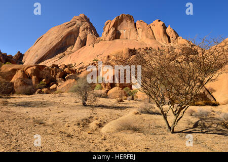 Spitzkoppe, Grootspitzkop, Regione di Erongo, Namibia Foto Stock