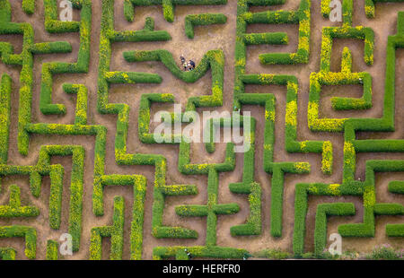 Vista aerea, labirinto di siepi, labirinto, Bollewick, Meclemburgo-Pomerania, Germania Foto Stock