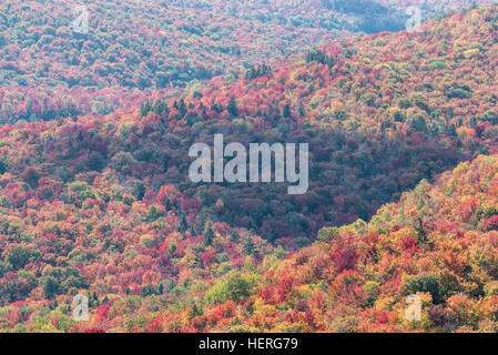 Vista dalla cima del laghetto lungo la montagna, Adirondack State Park, New York. Foto Stock