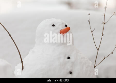 Ritratto di un pupazzo di neve nel giardino con una punta di carota Foto Stock