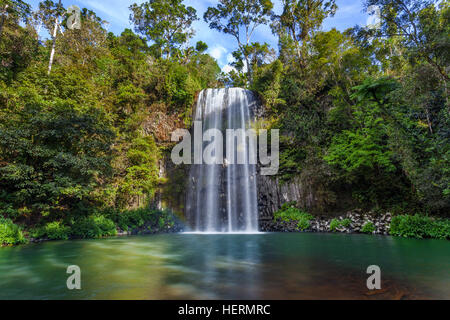 Millaa Millaa Falls, Atherton altipiano, Queensland, Australia Foto Stock