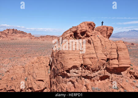 Uomo in piedi su rocce nel paesaggio desertico, Nevada, Stati Uniti Foto Stock
