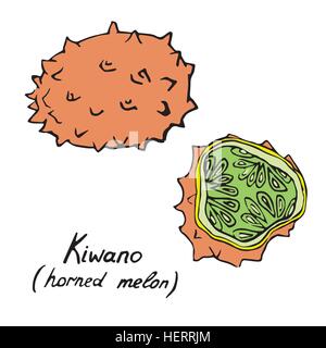 Kiwano ( cornuto melone) e fette di pezzo, disegnati a mano doodle, schizzo in pop art style, vettore Illustrazione Vettoriale