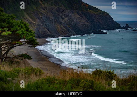 Oregon Coast Paesaggio vicino autostrada 101 Foto Stock