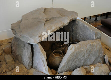 La cultura di Pomerania. Età del ferro. 7th-3rd secolo A.C. La Polonia. La sepoltura le urne. Cist. Museo archeologico di Danzica. La Polonia. Foto Stock