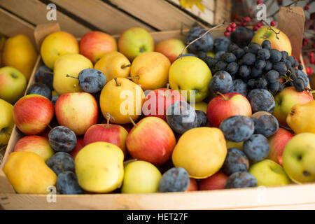 Frutti misti sullo sfondo. Frutta fresca.mangiare sano, dieta. Foto Stock