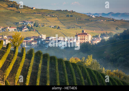 Alba su vigneti e la città di Barolo, Piemonte, Italia Foto Stock