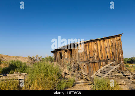 Abbandonata vecchia città fantasma corallo e shack nel deserto del Nevada Foto Stock