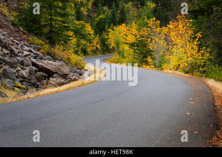 Strada tortuosa con alberi in autunno a colori. Foto Stock