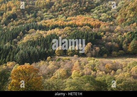 Bellissima Autumn Fall immagine orizzontale di una vasta campagna nel Lake District in Inghilterra Foto Stock