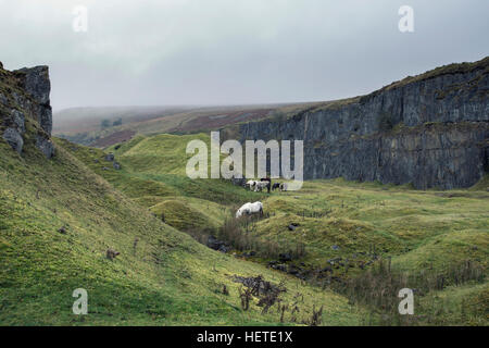 Bella immagine di panorama di cave abbandonate preso in consegna dalla natura in autunno cadono all alba con nebbia meteo Foto Stock