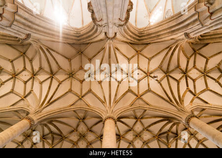 Ulm Minster soffitto, Ulm, Baden-Württemberg, Germania, Europa Foto Stock