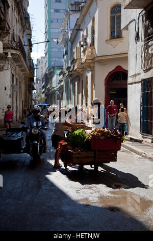 Venditore ambulante a l'Avana Vecchia Foto Stock