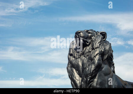 Dettaglio della statua di un re leone, che appartiene a Cristoforo Colombo monumento. Esso si trova in Plaza del Portal de la Pau a Barcellona, Spagna. Colu Foto Stock