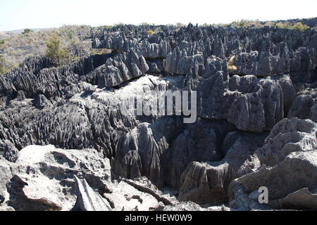 Torreggianti guglie calcaree in Grand Tsingy di Tsingy de Bemaraha National Park Foto Stock