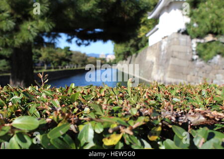 Il fossato al di fuori del centro storico il Castello di Nijo a Kyoto, Giappone Foto Stock