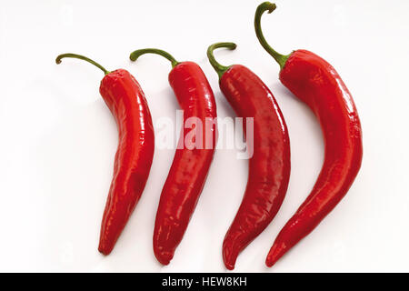 Quattro red hot chili peppers Foto Stock