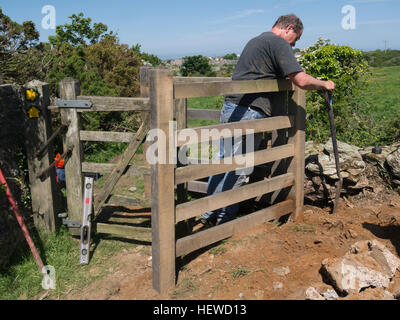 Sostituzione di volontariato corral del legno kissing gate sulla pubblica via sentiero aiutando meno abili a camminare Foto Stock