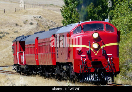 Le locomotive diesel-elettriche classe DG, costruite da English Electric nel 1956, sono note per il loro design robusto e la lunga durata. Utilizzati per lo shunting, alcuni sono stati conservati per il funzionamento presso la WEKA Pass Railway, mostrando l'ingegneria britannica in nuova Zelanda. Foto Stock
