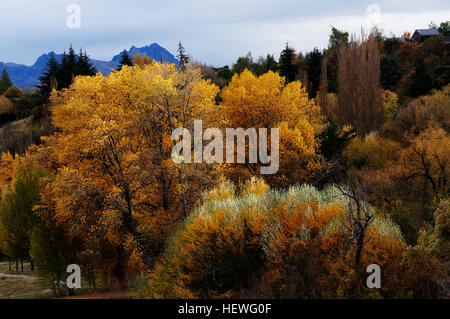 La pittoresca Queenstown in nuova Zelanda è rinomata per i suoi splendidi colori autunnali, in particolare lungo il fiume Shotover. Le ricche sfumature dell'autunno contrastano splendidamente con il paesaggio naturale, rendendolo una destinazione popolare per i fotografi e gli amanti della natura. Foto Stock
