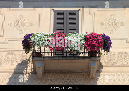 Balcone con molti vasi di fiori Foto Stock