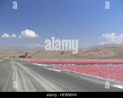 La Dominion Salt Works di Grassmere, nuova Zelanda, produce vari tipi di sale, tra cui sale marino e sale iodizzato. Questi sali vengono raccolti dall'evaporazione solare in stagni di cristallizzazione, un processo che si svolge in regioni come il Mar Rosso e Malborough. Foto Stock