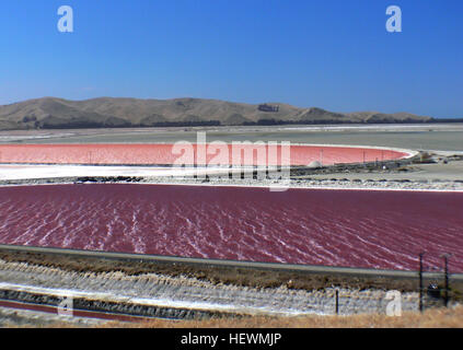 Il lago Grassmere è un importante sito di produzione di sale in nuova Zelanda, dove l'acqua di mare viene evaporata per estrarre il sale. Gli stagni di cristallizzazione rosa sono il risultato di alghe e alta salinità, producendo fino a 70.000 tonnellate di sale all'anno. Foto Stock