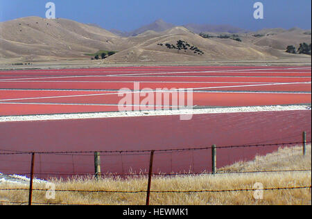 Il sale viene raccolto annualmente dal lago Grassmere a Marlborough, nuova Zelanda. Ogni anno dal lago vengono estratte da 60.000 a 70.000 tonnellate di sale attraverso un processo di evaporazione, in cui l'acqua di mare viene pompata negli stagni e concentrata. Questo metodo sostenibile consente la produzione di sale di alta qualità nella regione. Foto Stock