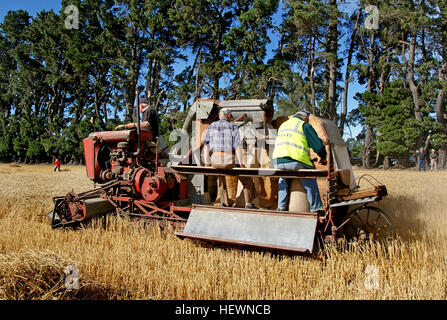 La mietitrebbia, o semplicemente la mietitrebbia è una macchina che i raccolti raccolti di granella. ... Il primo commerciale mietitrebbia in 1885, il Sunshine Harvester. Foto Stock