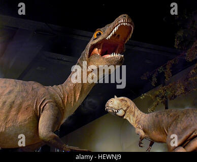 Il Royal Tyrrell Museum canadesi è un'attrazione turistica e un centro di ricerca paleontologica notare per la sua collezione di più di 130.000 fossili. Situato a 6 km (4 mi) da Drumheller, Alberta e 135 chilometri (84 mi) da Calgary,[5] Il museo è situato nel centro del fossile-strati cuscinetto del tardo Cretaceo Horseshoe Canyon Formazione e contiene numerosi esemplari dall'Alberta badlands, Parco provinciale dei dinosauri e del diavolo la Coulee uova di dinosauro sito. Il Royal Tyrrell Museum è gestito da Alberta il Ministero della Cultura Foto Stock