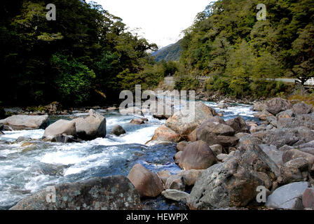 Il fiume di Hollyford è situato nel sud-ovest dell'Isola del Sud della Nuova Zelanda. Esso si estende per 128 chilometri (80 mi) attraverso Fiordland, sua sorgente essendo 10 chilometri (6.2 mi) a nord della punta settentrionale del Lago Te Anau e vicino al Tunnel Homer. Il fiume scorre verso nord attraverso il ghiacciaio formato a valle di Hollyford passando attraverso il lago McKerrow prima di raggiungere Martins baia sulla costa del Mare di Tasman 25 chilometri a nord di Milford Sound. Il Hollyford via segue il corso dei fiumi. Parte del il corso dei fiumi è tradizionalmente considerata come il confine tra il Southland e Otago Foto Stock