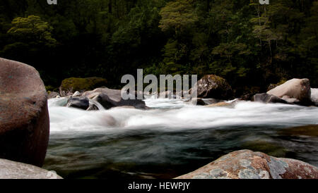 Appropr iat (,),giro in barca,Fiordland,Fiordland Nationial Park,FlickrElite,acqua,Grand Pacific Tours,alte scogliere,Hollyford Fiume,Jucy crociere,pranzo crociera,Nuova Zelanda,viaggi reale' "southern scoperte,acque liscio,cascate,vita selvatica,montagna,sito patrimonio mondiale Foto Stock