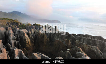 Il famoso Pancake Rocks e soffiature sono a soli 20 minuti di passeggiata ad anello da dove si parcheggia il veicolo sulla strada principale a Punakaiki. Guardando come pancake gigante le curiose formazioni calcaree sono particolarmente spettacolari ad alta marea in un mare da Ovest. Il Pancake Rocks sono più spettacolari della zona Putai. Essi sono stati formati trenta milioni di anni fa dai frammenti minuti di dead creature marine e piante sbarcati sul fondale a circa 2 km al di sotto della superficie. Immensa pressione acqua causato i frammenti a solidificare in hard e soft strati. Gradualmente azione sismica sollevato il calcare al di sopra del Foto Stock