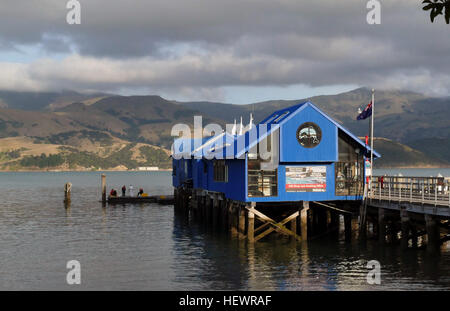 Akaroa è un'affascinante cittadina costiera in nuova Zelanda, un tempo un insediamento francese, con strade dal nome francese, cottage storici, boutique e ristoranti sul lungomare che si affacciano sul porto di Akaroa. Foto Stock