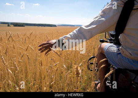 Vista ritagliata dell'uomo ciclomotore di equitazione attraverso il campo di grano, Ural, Russia Foto Stock