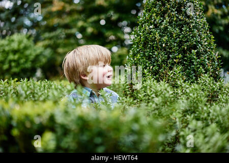 Ragazzo circondato da fogliame che guarda lontano Foto Stock