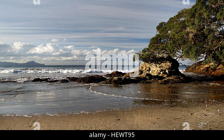 Situato nel Northland, Waipu è una piccola cittadina situata nel 1853 da un gruppo di montanari scozzesi. Waipu Cove e Langs Beach sono beach resorts con grande nuoto, pesca e surf. Foto Stock