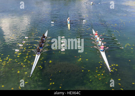 I giovani atleti canottaggio sul lago tranquillo Foto Stock