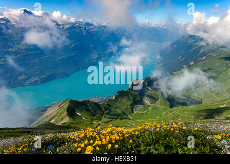 Vista in elevazione del fiume attraverso la valle, Brienzer Rothorn, Oberland bernese, Svizzera Foto Stock