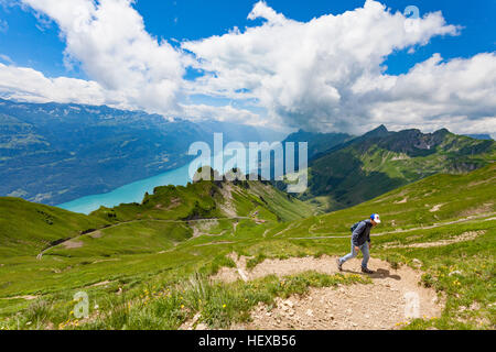 L'uomo sul sentiero di montagna, Brienzer Rothorn, Oberland bernese, Svizzera Foto Stock