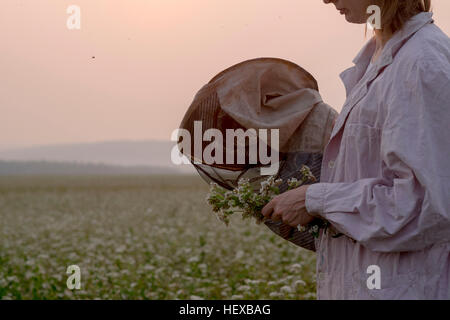 Ritagliato colpo di apicoltore femmina impianto di ispezione in campo dei fiori, Ural, Russia Foto Stock