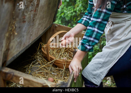 La donna a raccogliere le uova dal pollaio Foto Stock