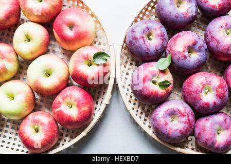 Cestini di appena raccolto impero e Honeycrisp mele, vista aerea Foto Stock