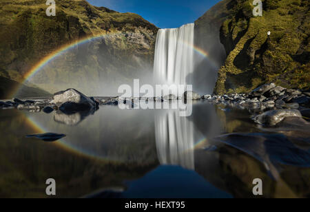 Il pittoresco enorme rainbow appare nella nebbia d'acqua. Il più popolare cascata in Islanda - Skogafoss. Foto Stock