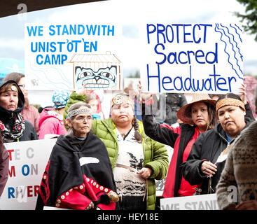 Gli Indiani locali e le prime nazioni membri protesta contro la proposta di Woodfiber LNG project pipeline. Squamish BC, Canada. Foto Stock