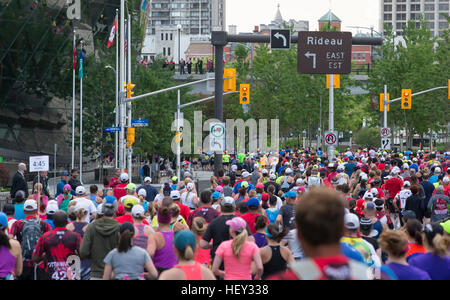 (Ottawa, Canada---24 maggio 2015) Stoloni ruotare verso il basso il canale all'inizio della maratona durante il Tamarack eseguire Ottawa weekend di gara. Foto Stock